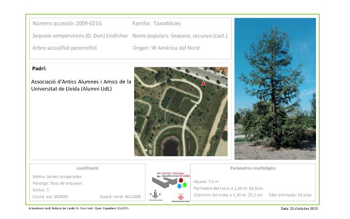 2-certificat apadrinar sequoia 2016-1