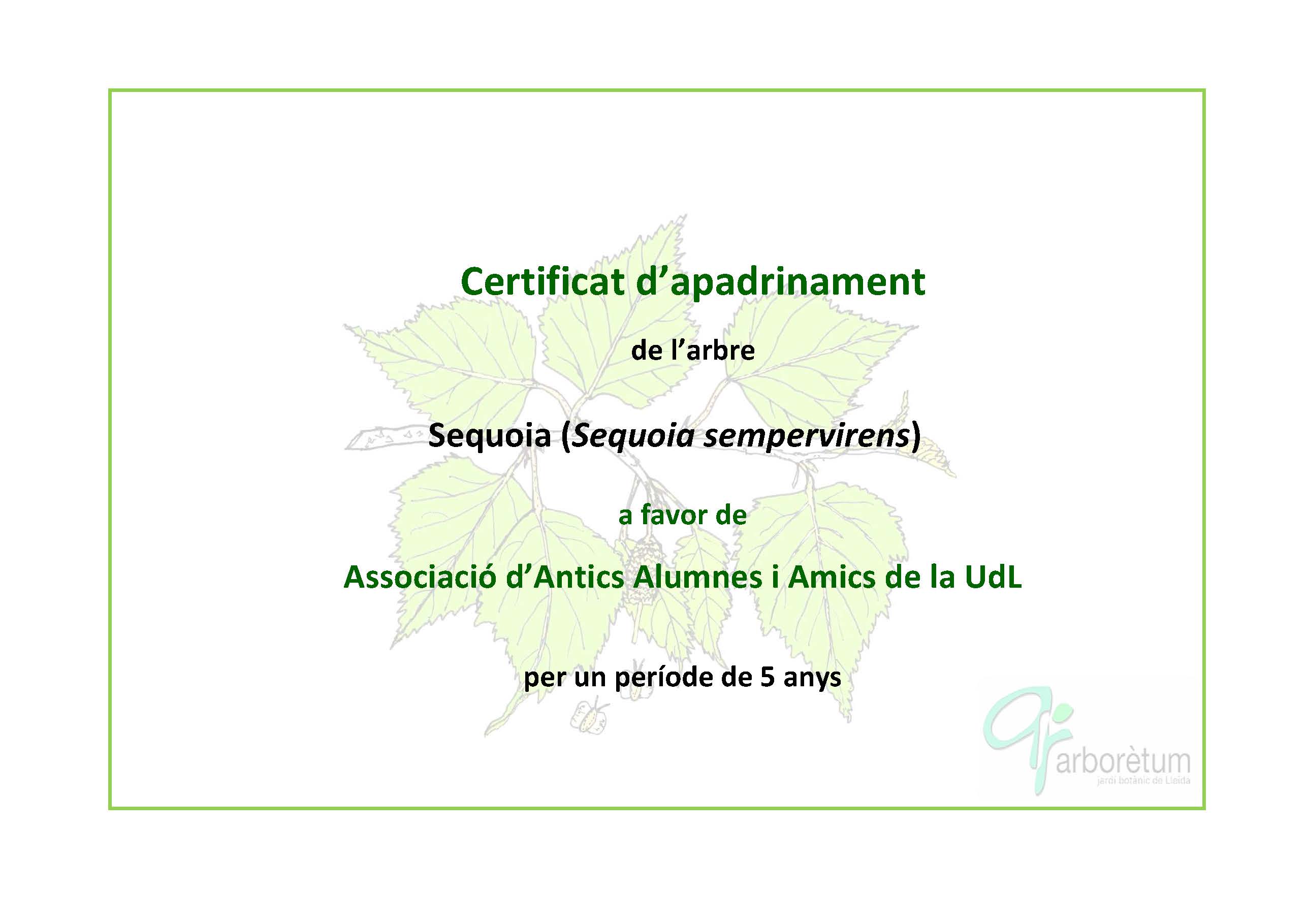 1-certificat apadrinar sequoia 2016-2