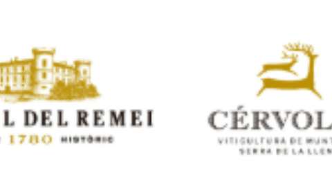 CELLERS TOMÀS CUSINÉ